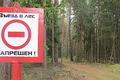 На Островетчине запрещено посещать леса