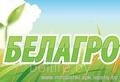 БЕЛАГРО - 2019