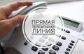 Новости26 января 2025 года Выборы Президента Республики Беларусь