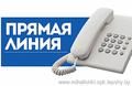 "Прямые линии" проведут в Островце 3 июня