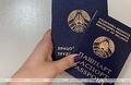 За помощью в трудоустройстве с начала года в Гродненской области обратились более 15 тыс. человек